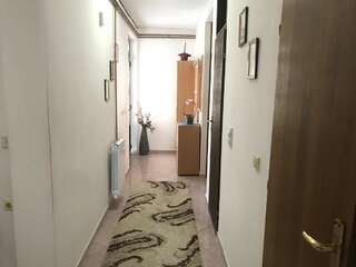 Апартаменты Apartments Radosevic Улцинь Апартаменты Делюкс-4